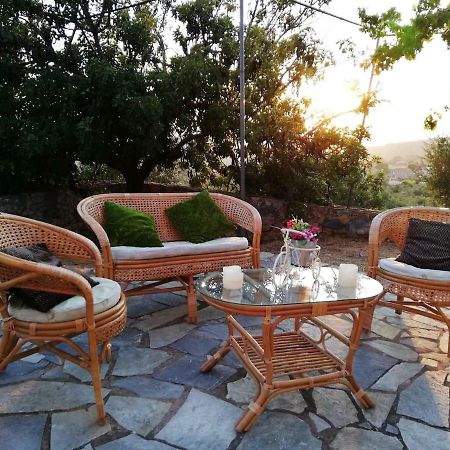Apartmán Theasea House With Garden Riglia Exteriér fotografie