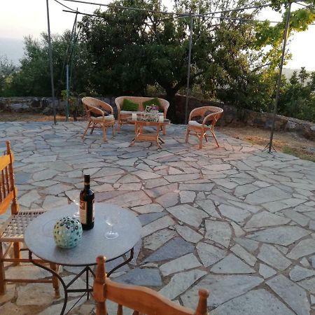 Apartmán Theasea House With Garden Riglia Exteriér fotografie