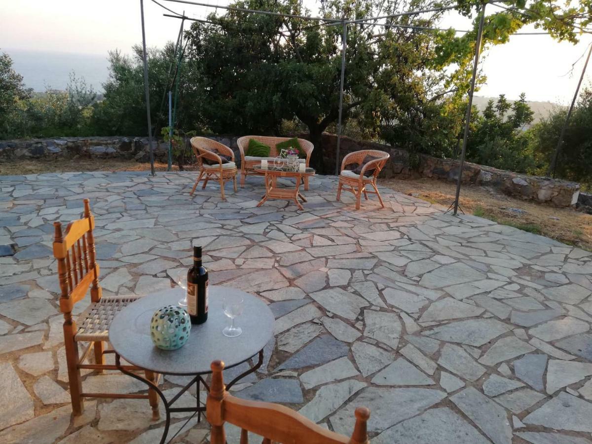 Apartmán Theasea House With Garden Riglia Exteriér fotografie